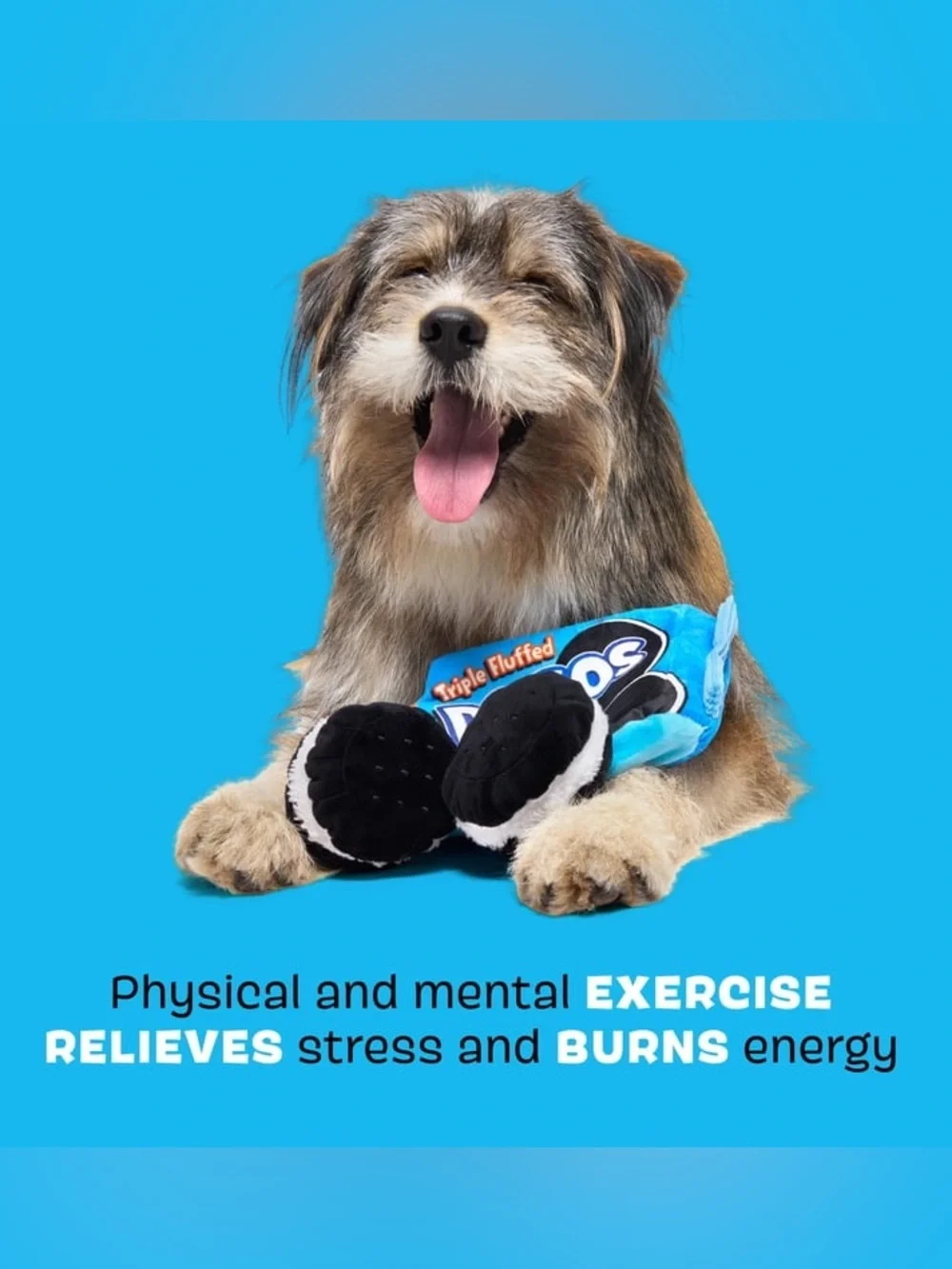 NWT Bark Dogo Dunkers Dog Toy